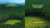 Kerala’s hidden cricket paradise: Palappilly ground’s viral beauty stuns internet